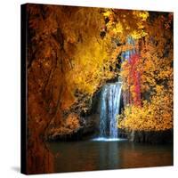 Nature's Gold-Philippe Sainte-Laudy-Stretched Canvas