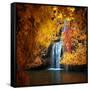 Nature's Gold-Philippe Sainte-Laudy-Framed Stretched Canvas