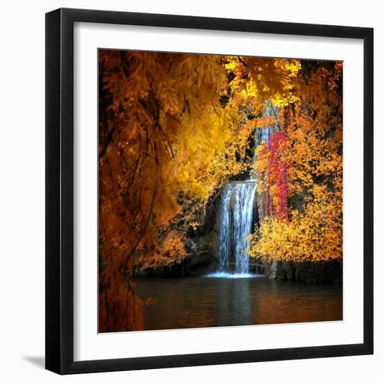 Nature's Gold-Philippe Sainte-Laudy-Framed Premium Photographic Print