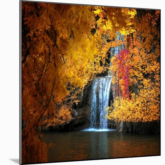 Nature's Gold-Philippe Sainte-Laudy-Mounted Photographic Print