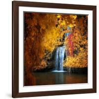 Nature's Gold-Philippe Sainte-Laudy-Framed Photographic Print