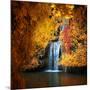 Nature's Gold-Philippe Sainte-Laudy-Mounted Photographic Print