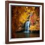 Nature's Gold-Philippe Sainte-Laudy-Framed Photographic Print