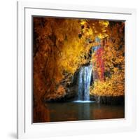 Nature's Gold-Philippe Sainte-Laudy-Framed Photographic Print