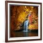 Nature's Gold-Philippe Sainte-Laudy-Framed Photographic Print