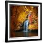 Nature's Gold-Philippe Sainte-Laudy-Framed Photographic Print