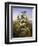 Nature's Gold-John Wainwright-Framed Giclee Print