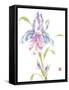 Nature's Grace-Nan Rae-Framed Stretched Canvas