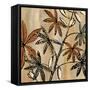 Nature's Graphic II-Michael Brey-Framed Stretched Canvas