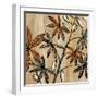 Nature's Graphic II-Michael Brey-Framed Art Print