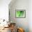 Nature's Green-Doug Chinnery-Framed Photographic Print displayed on a wall