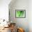 Nature's Green-Doug Chinnery-Framed Photographic Print displayed on a wall