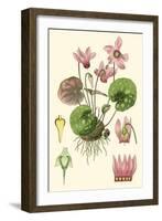 Nature's Harvest I-Vision Studio-Framed Art Print