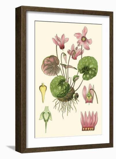 Nature's Harvest I-Vision Studio-Framed Art Print