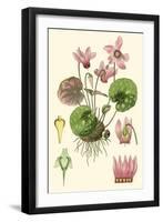 Nature's Harvest I-Vision Studio-Framed Art Print