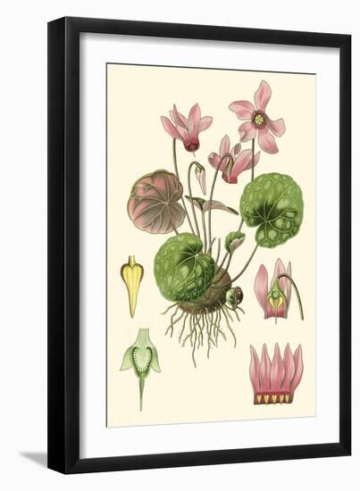 Nature's Harvest I-Vision Studio-Framed Art Print