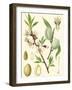 Nature's Harvest II-Vision Studio-Framed Art Print