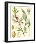 Nature's Harvest II-Vision Studio-Framed Art Print