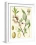 Nature's Harvest II-Vision Studio-Framed Art Print