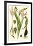 Nature's Harvest III-Vision Studio-Framed Art Print