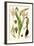 Nature's Harvest III-Vision Studio-Framed Art Print