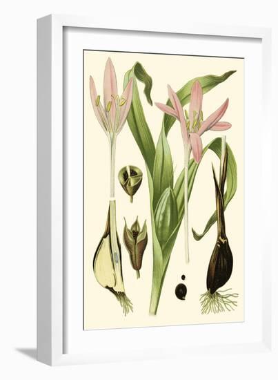 Nature's Harvest III-Vision Studio-Framed Art Print