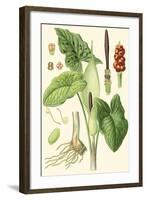 Nature's Harvest IV-Vision Studio-Framed Art Print