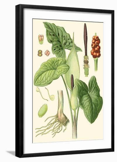 Nature's Harvest IV-Vision Studio-Framed Art Print