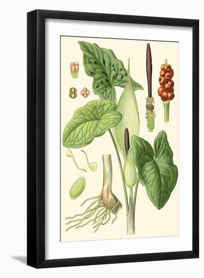 Nature's Harvest IV-Vision Studio-Framed Art Print