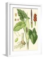 Nature's Harvest IV-Vision Studio-Framed Art Print