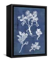 Nature's Imprint II-Vision Studio-Framed Stretched Canvas