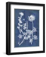 Nature's Imprint IV-Vision Studio-Framed Art Print