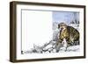 Nature's Kingdom: Hunter of the Highlands - the Wildcat-Susan Cartwright-Framed Giclee Print