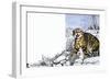 Nature's Kingdom: Hunter of the Highlands - the Wildcat-Susan Cartwright-Framed Giclee Print
