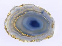 Gold Crown Agate-Nature’s Little Gems-Giclee Print