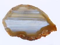 Golden Water Agate-Nature’s Little Gems-Stretched Canvas