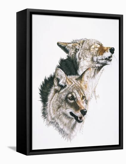 Nature's Minstral-Barbara Keith-Framed Stretched Canvas