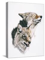 Nature's Minstral-Barbara Keith-Stretched Canvas