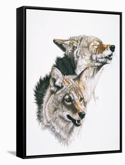 Nature's Minstral-Barbara Keith-Framed Stretched Canvas