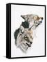 Nature's Minstral-Barbara Keith-Framed Stretched Canvas