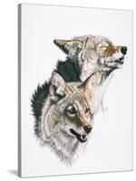 Nature's Minstral-Barbara Keith-Stretched Canvas