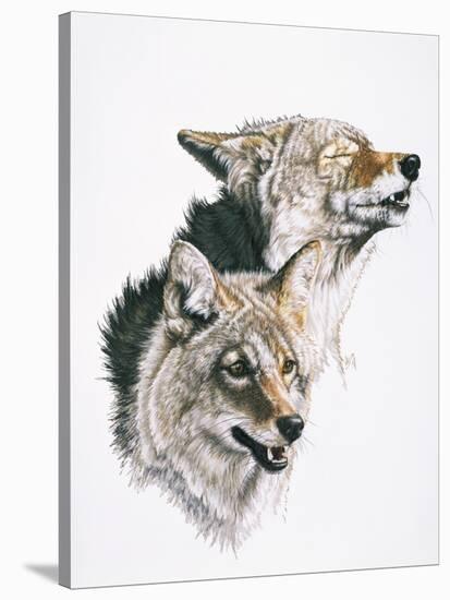 Nature's Minstral-Barbara Keith-Stretched Canvas