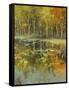 Nature's Mirror-Tim Howe-Framed Stretched Canvas