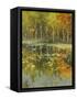 Nature's Mirror-Tim Howe-Framed Stretched Canvas