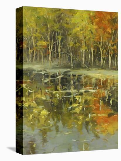 Nature's Mirror-Tim Howe-Stretched Canvas