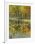 Nature's Mirror-Tim Howe-Framed Giclee Print