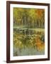 Nature's Mirror-Tim Howe-Framed Giclee Print