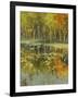 Nature's Mirror-Tim Howe-Framed Giclee Print