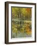 Nature's Mirror-Tim Howe-Framed Giclee Print