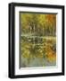 Nature's Mirror-Tim Howe-Framed Giclee Print